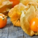 Physalis und PB Raw Colombian Cacao