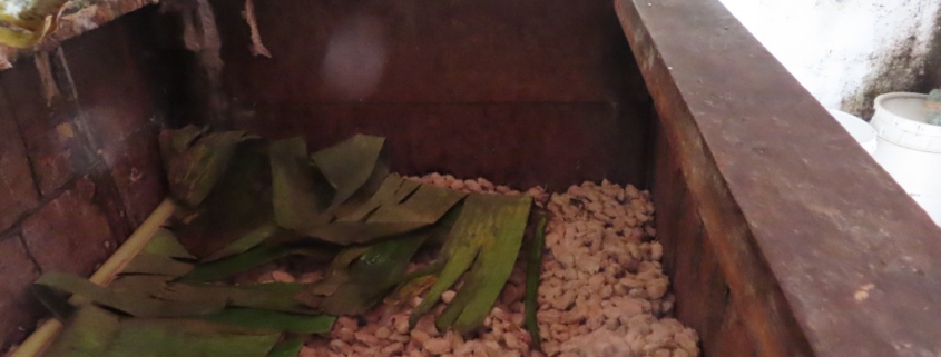 Fermentation des rohen Kakaos